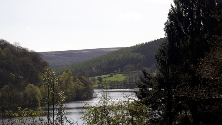 Photo Coolant reservoir