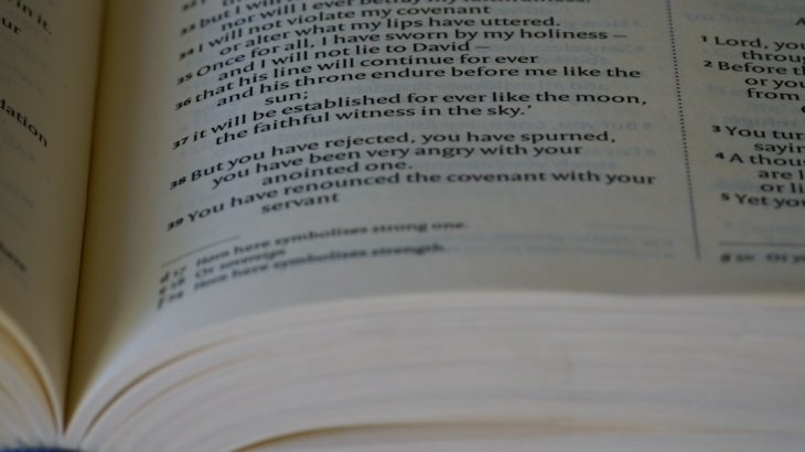 Photo onderhoudsboekje